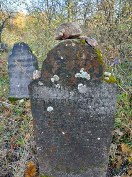 IMG20241106122717